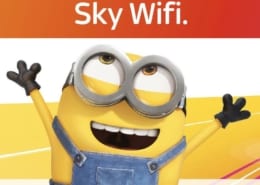 sky-wifi-minion